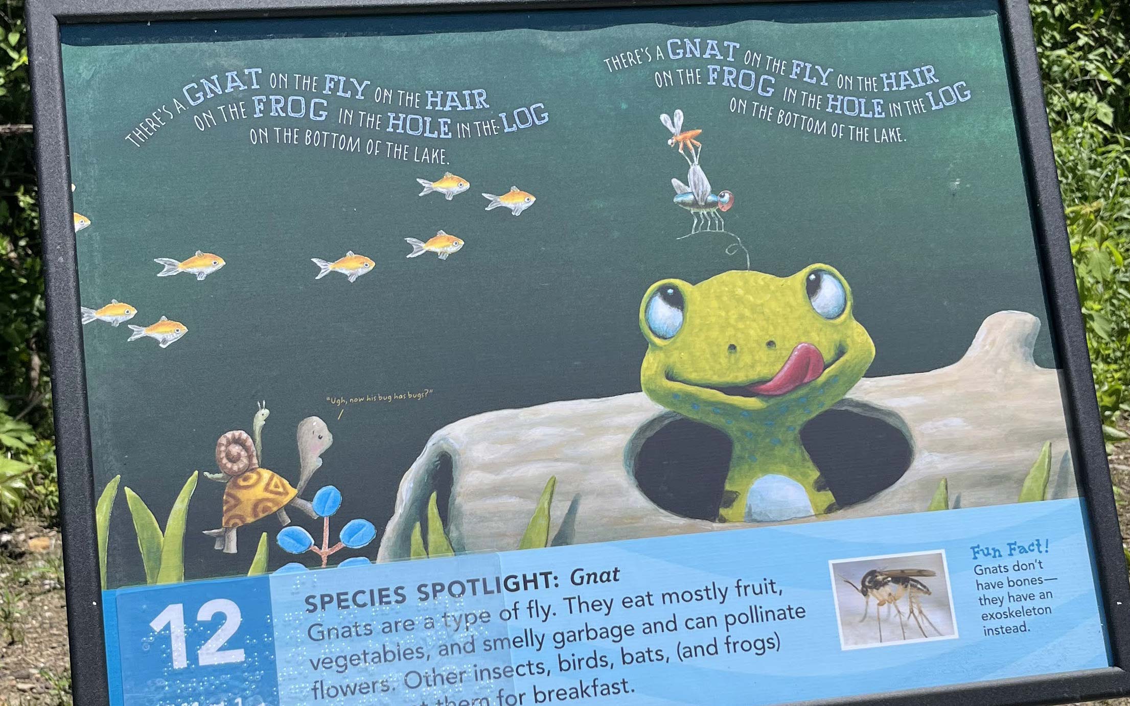 Sign with frog on it from book